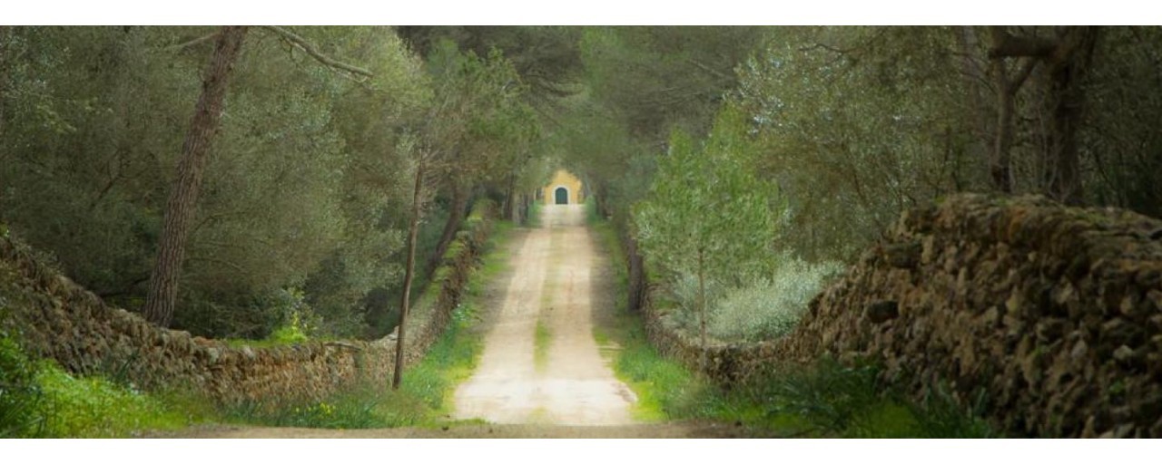 Rajmonda e Federico's Wedding